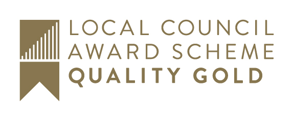 Local Council Gold Award